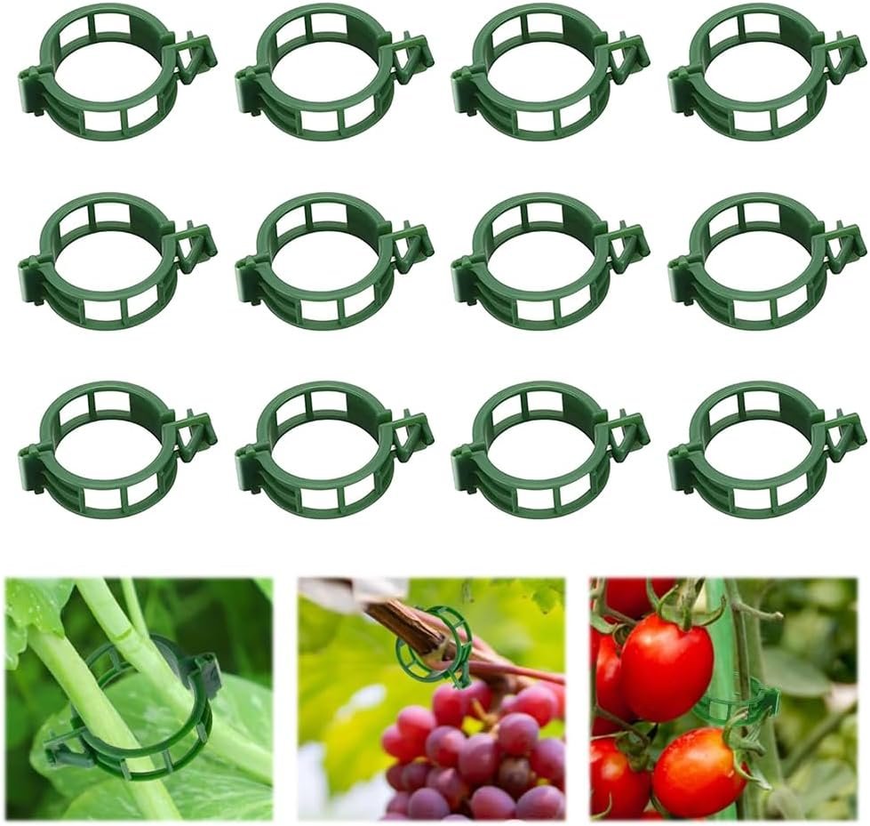 100pcs Plant Support Clips for Climbing Plants, Reusable Plastic Trellis Clips for Tomato, Grape Vine, Vegetables, Garden Fixing Clips (100, Green)