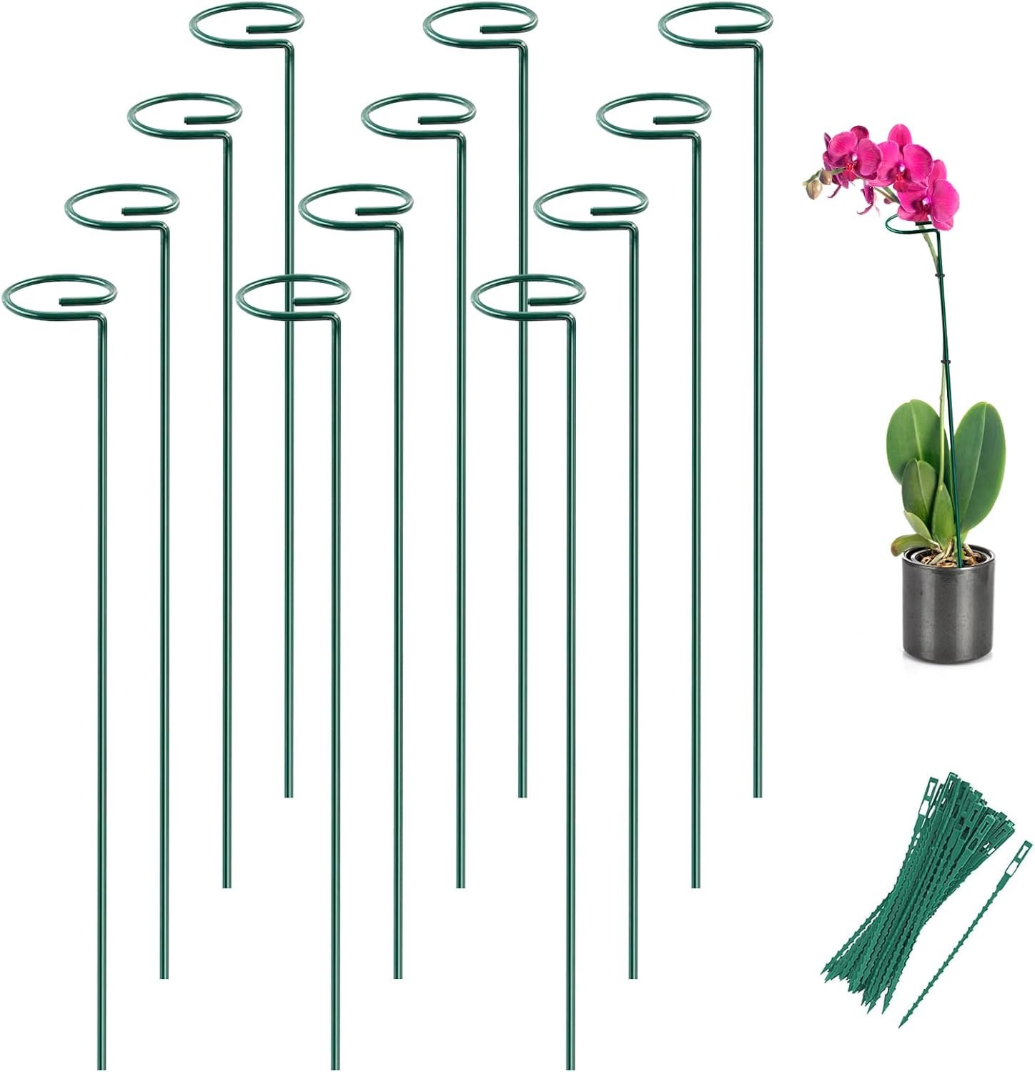 12 Pack 16 Inch Metal Plant Support Stakes for Outdoor Plants and Flowers | Plant Support Sticks, Includes 24 Twist Ties, For Peony, Amaryllis, Marigold, Coreopsis, For Tomato Seedling, Sapling