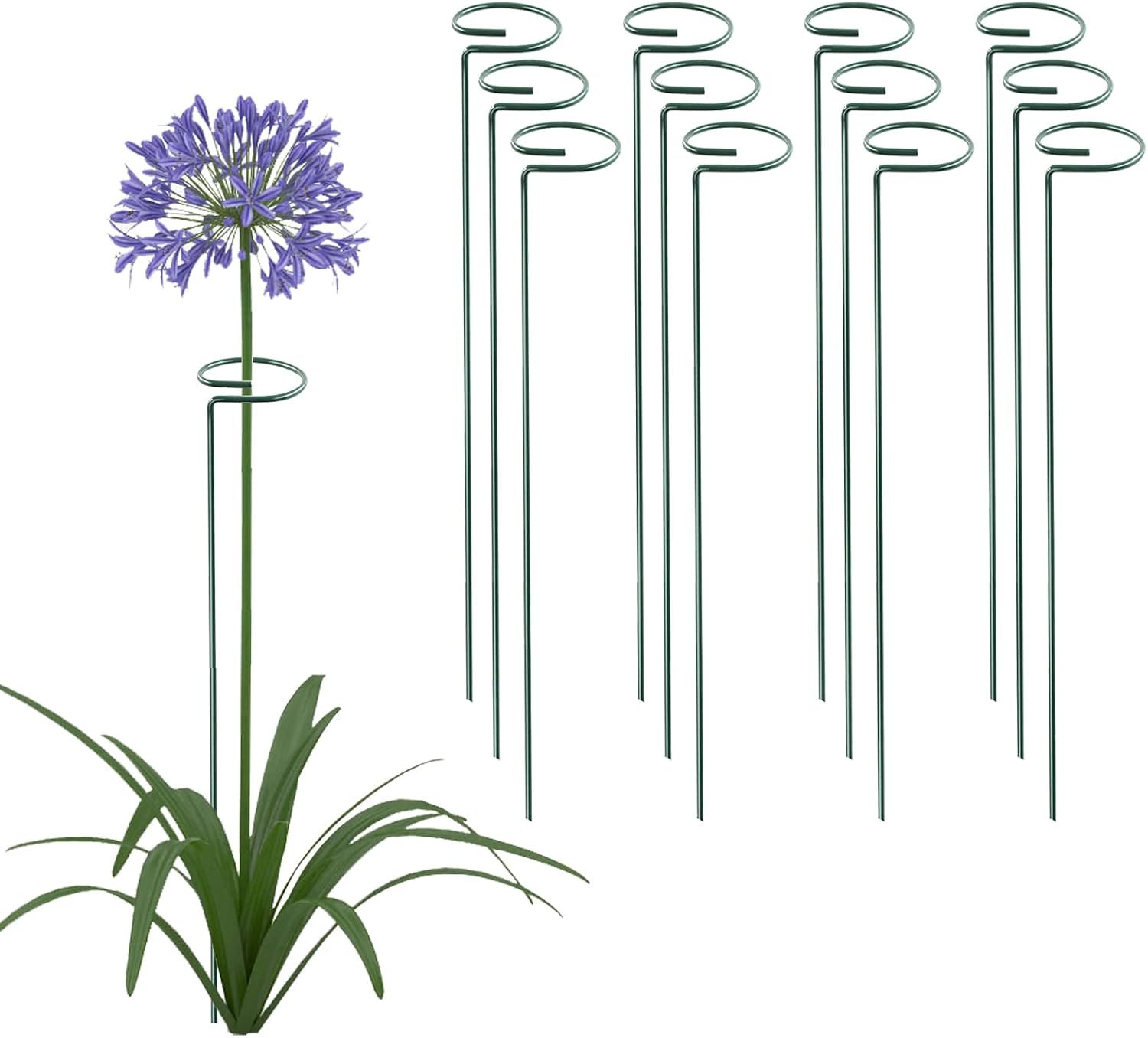 Thealyn 12 Pack 16 Inch Plant Support Stakes, Metal Single stemmed Flower Support Hoops，Garden Plant Stakes Plant Prop for Amaryllis Orchid Lily Rose Peony Tomatoes Gladiolus