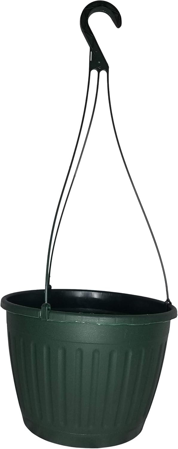 Landmark 10″ Imperial Plastic Hanging Basket (Green, 10)