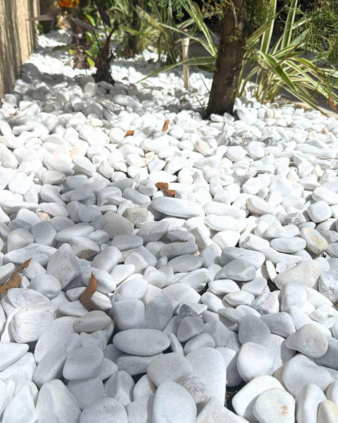 10 lb Premium Decorative Pebbles for Plants & Landscaping, 1–2 Inch Polished River Rocks for Indoor & Outdoor Use, Planters, Vases, Succulents, Terrariums & Garden Decor