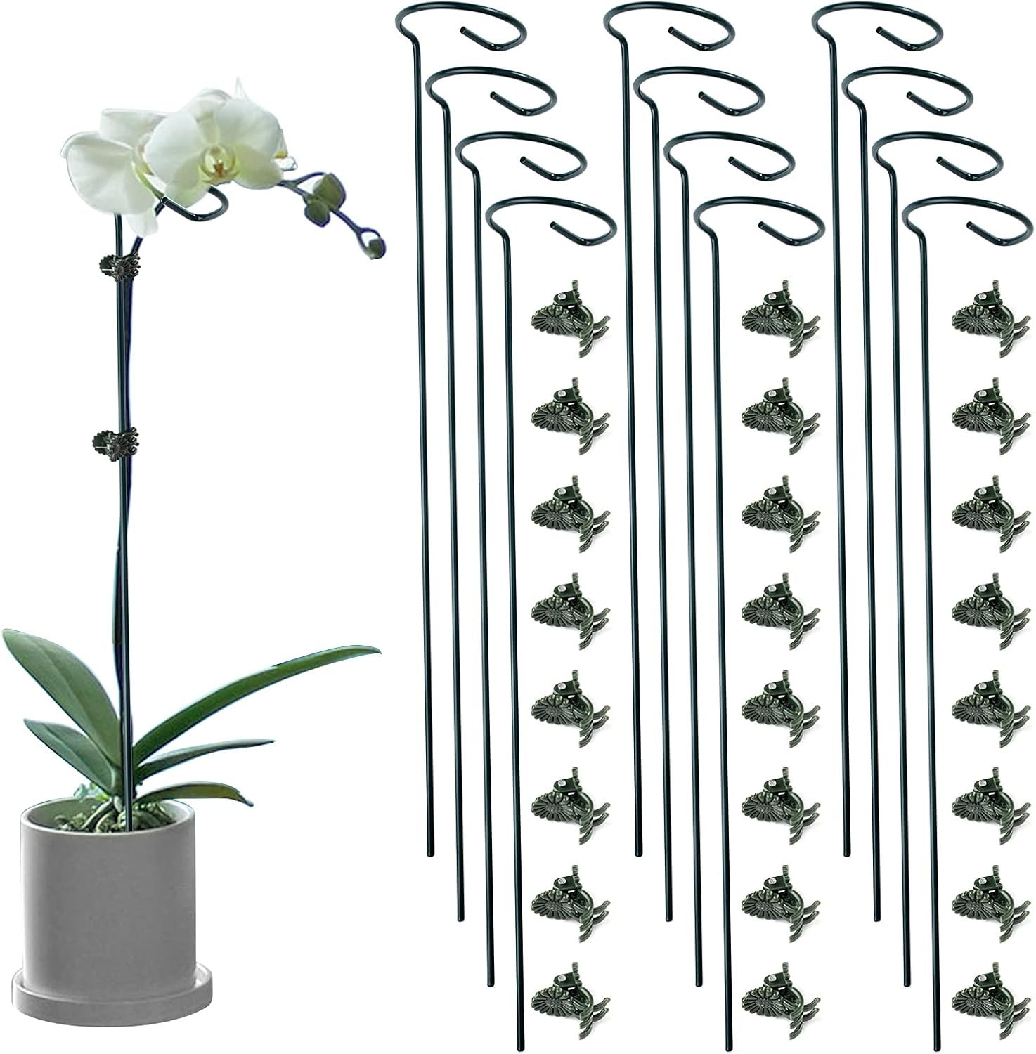 12 Pack Plant Support Stakes with 24 Pcs Plant Clips, Garden Single Stem Support Stake, Plant Cage Support Ring for Indoor Outdoor Flowers Rose Amaryllis Tomatoes Peony Lily Orchid (16 Inch)