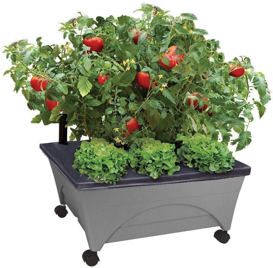 Emsco Group City Picker Raised Bed Grow Box – Self Watering and Improved Aeration – Mobile Unit with Casters – Slate