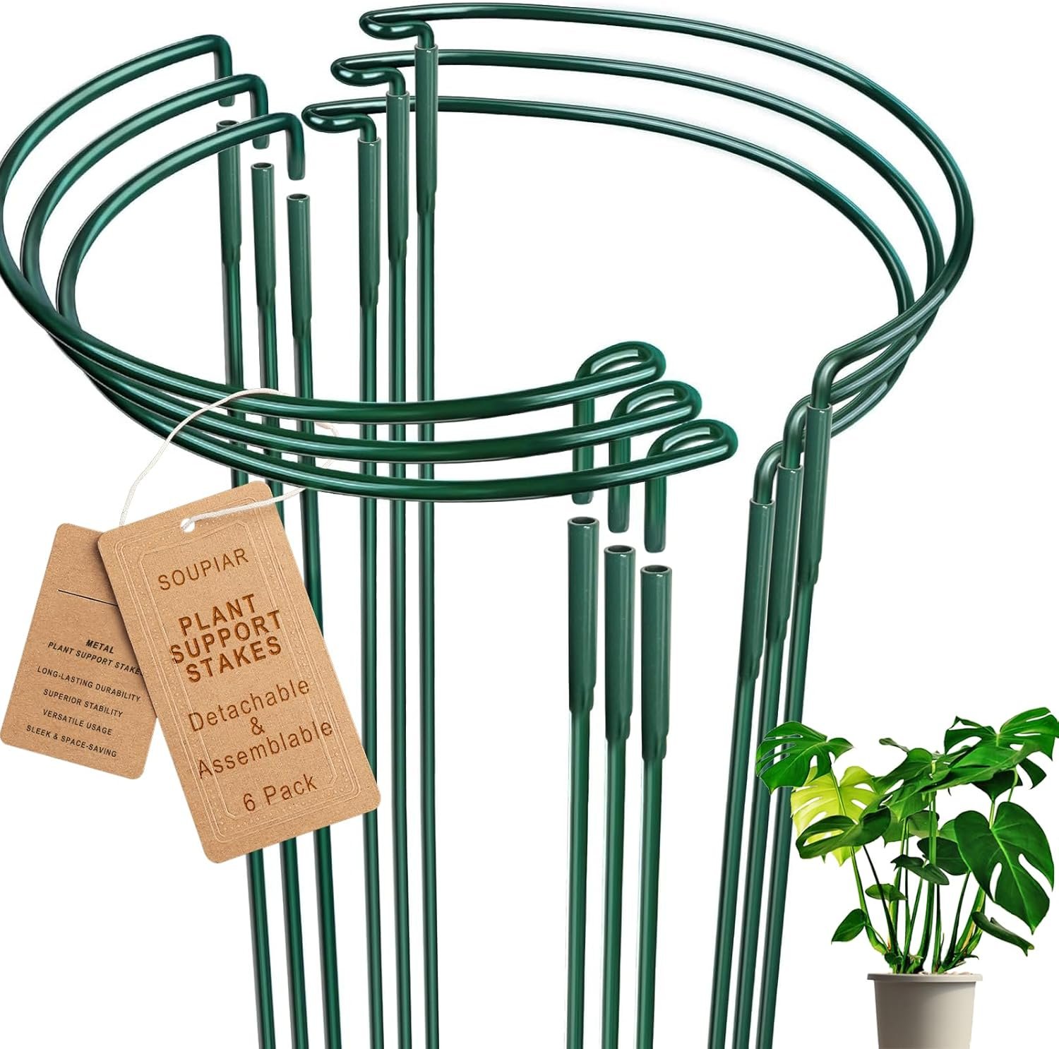 6 Pack Detachable & Assemblable Metal Plant Support Stakes – Garden Support Ring, Tomato Seedling Cage, Young Monstera/Pothos for Growing Indoor/Outdoor (10″ W x 16″ H)