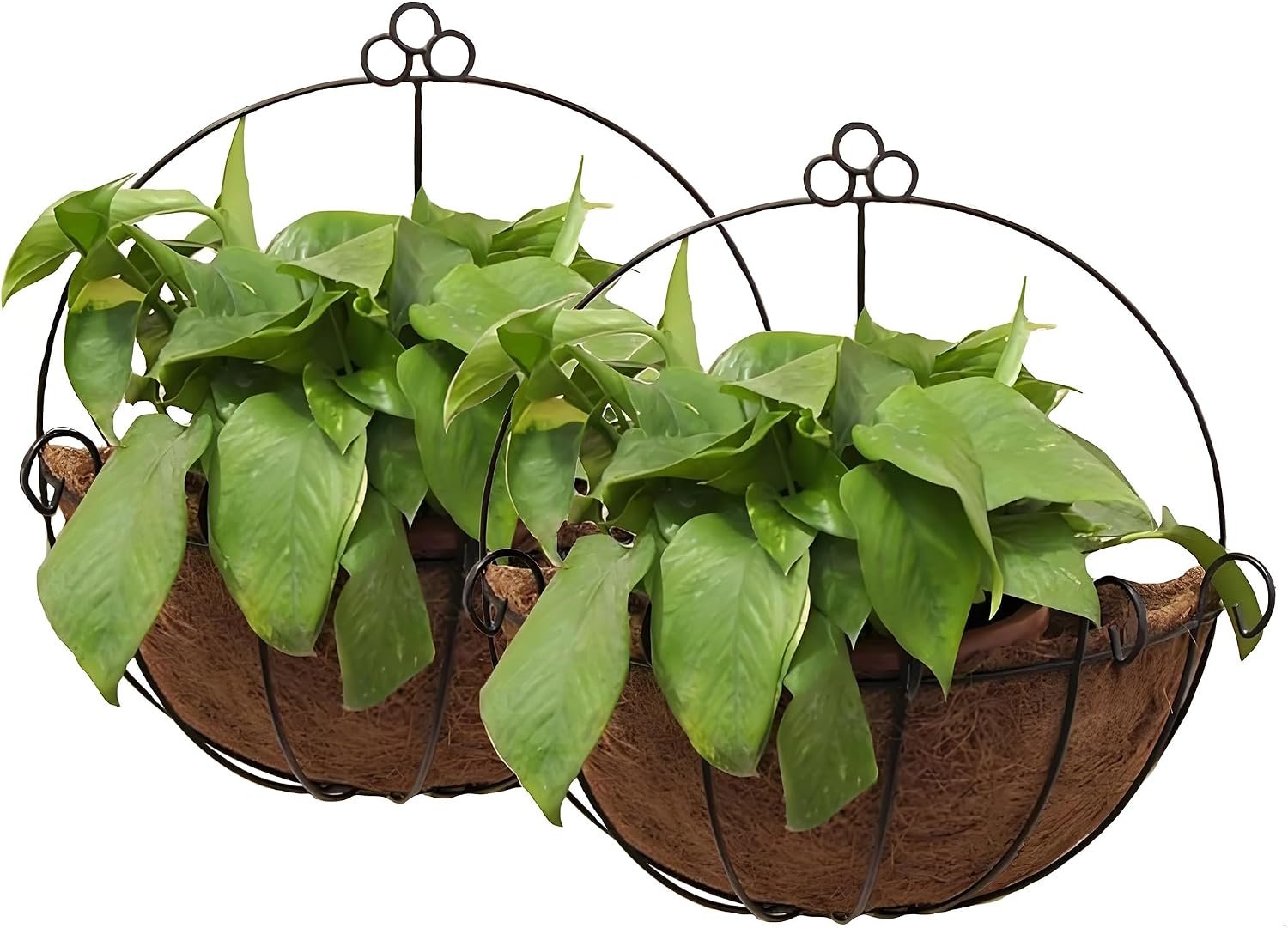 Tosnail 2 Pack Metal Wall Hanging Planter Basket with Coco Liner – Great for Indoor or Outdoor Plants