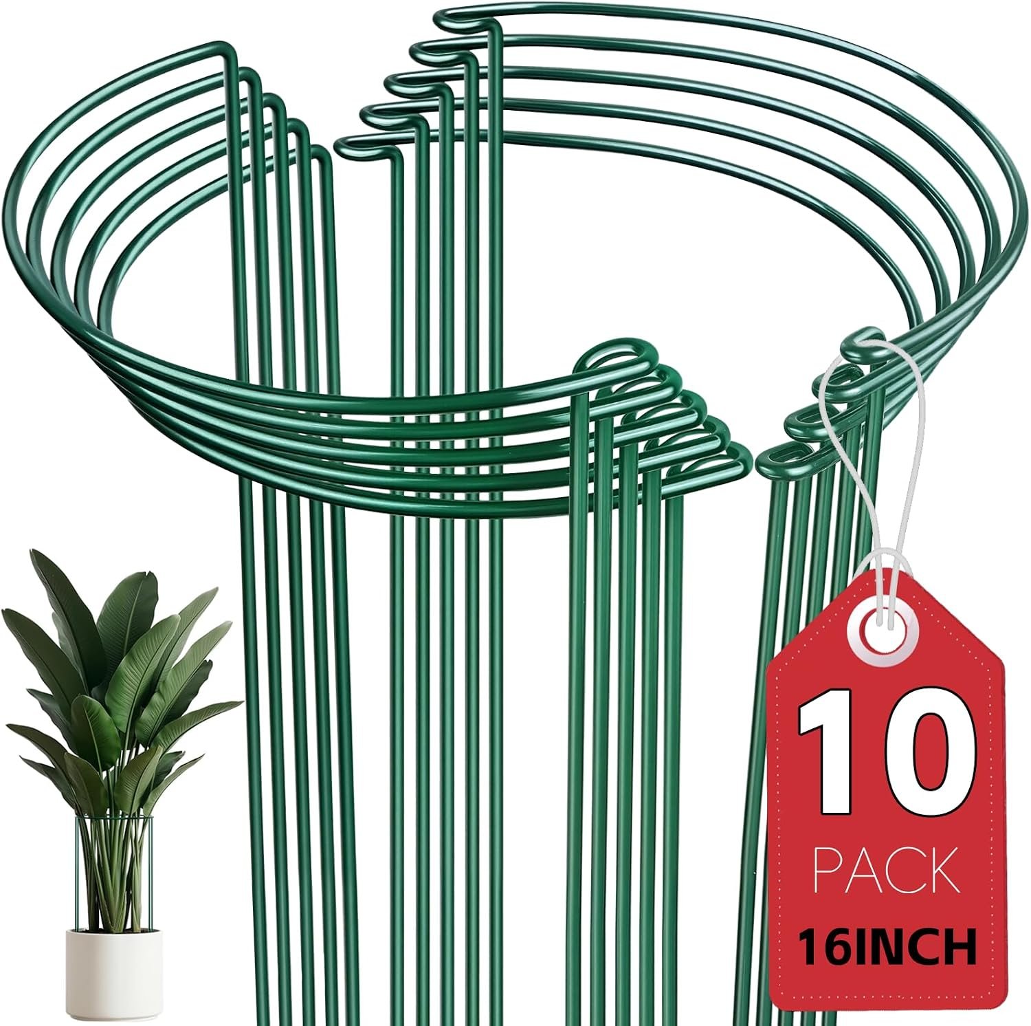 Thealyn 10 Pack Plant Support Stakes, 10″ W x 16″ H Metal Peony Cages and Supports, Rustproof Half Round Garden Plant Stakes for Indoor Outdoor Plants, Hydrangea, Rose, Monstera