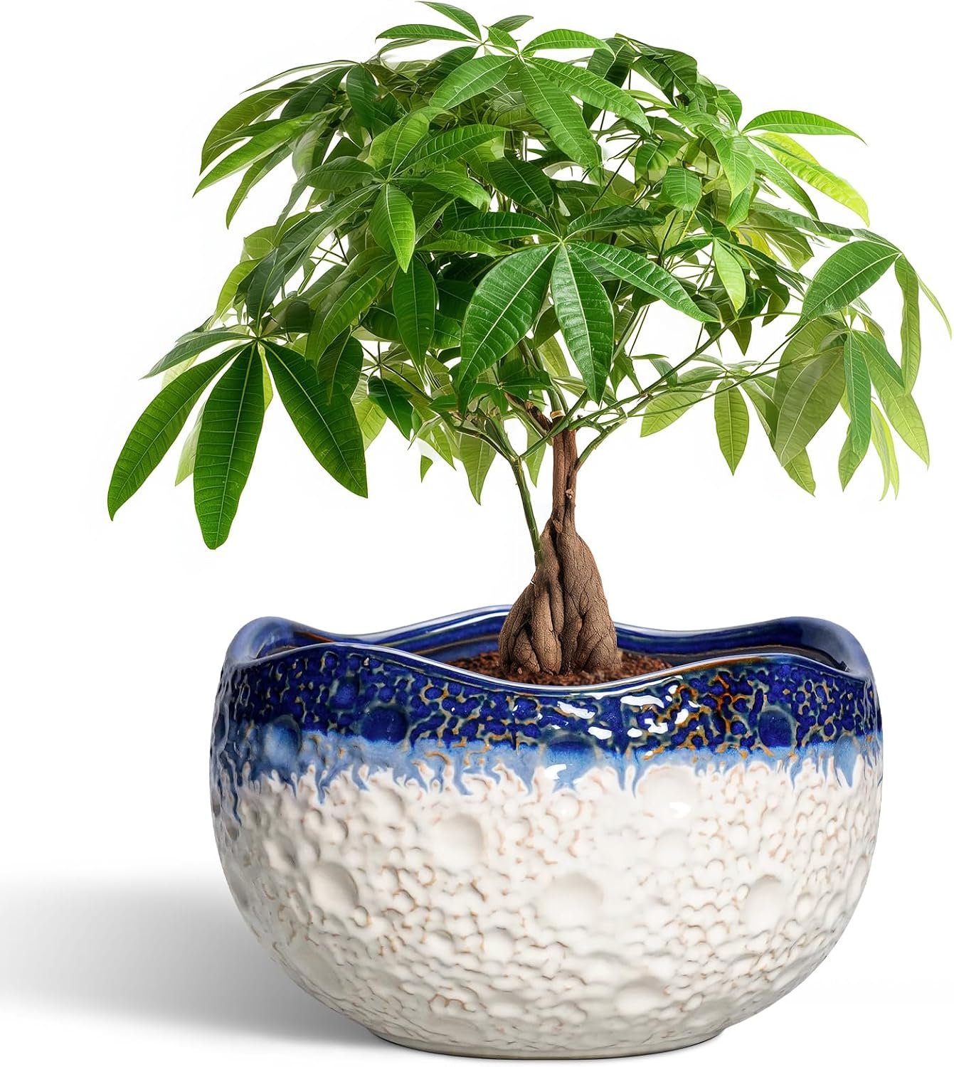 Ceramic Flower Pots – 10 Inch Planter for Indoor Outdoor Plants, Decorative Planter with Drainage Hole and Plug, Round Large Plant Pots, Garden Decor, Gifts for Plant Lovers, Beige-Blue