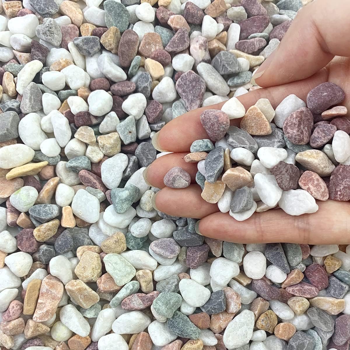 FANTIAN 5 lbs Natural Mixed Color Gravel Pebbles, 3/8 Inch Decorative Succulent Rocks Pebbles for Plants, Stones for Vase, Landscaping and Outdoor Garden Decorative River Rock