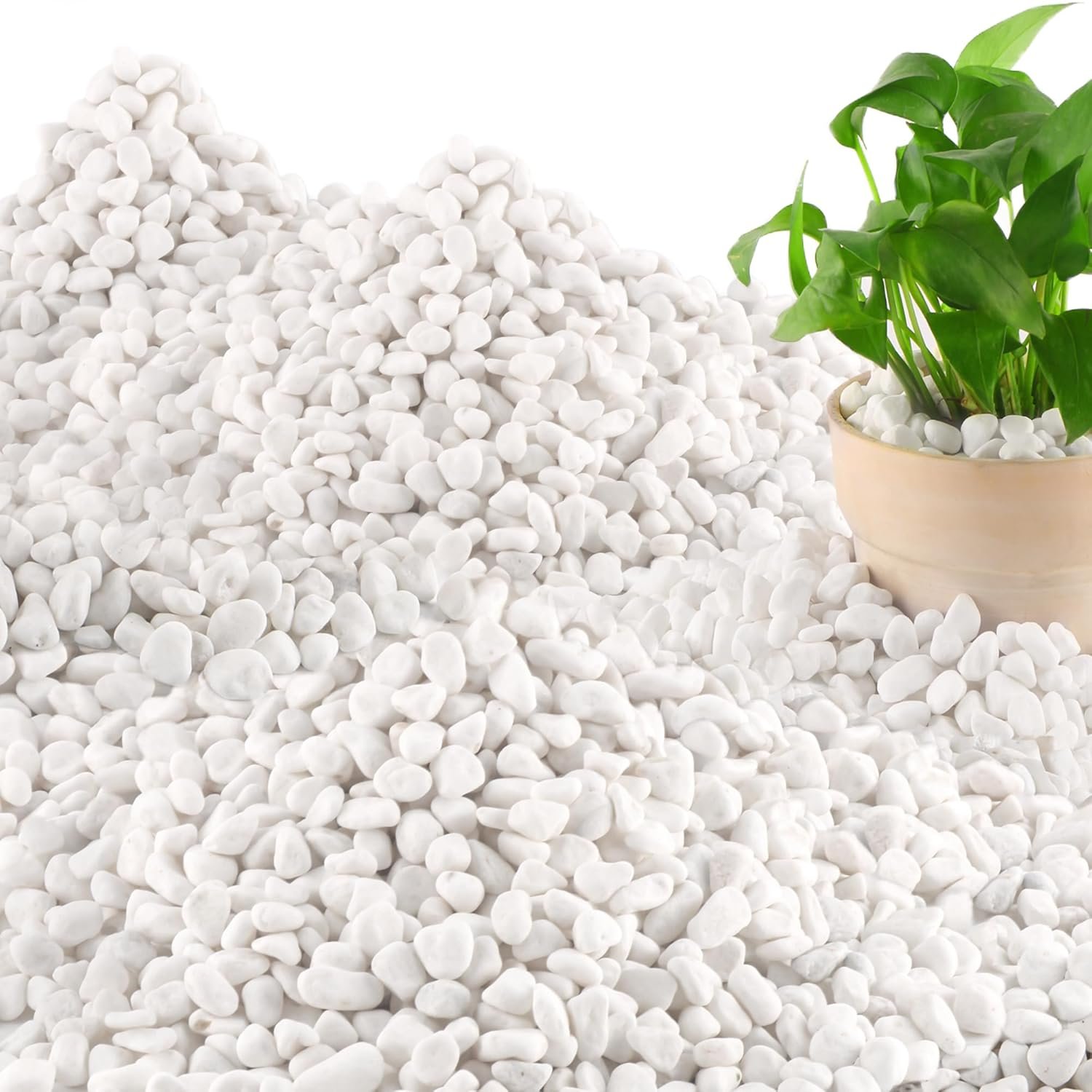 Mulctun 45LB Natural White Rocks, 1/4″-3/4″ Garden River Rock,Decorative Pebbles Aquarium Gravel for Indoor Plants Garden Landscaping Terrarium Fish Tank and Outdoor Decoration