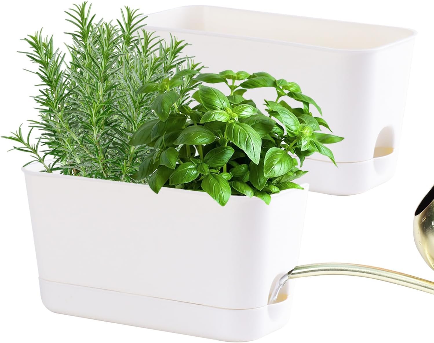 Oliz Self Watering Planters: 2 Packs Rectangular Plant Pots with with Drainage and Tray, 10 Inch Window Pot Self Watering Planter for Herb, Houseplants