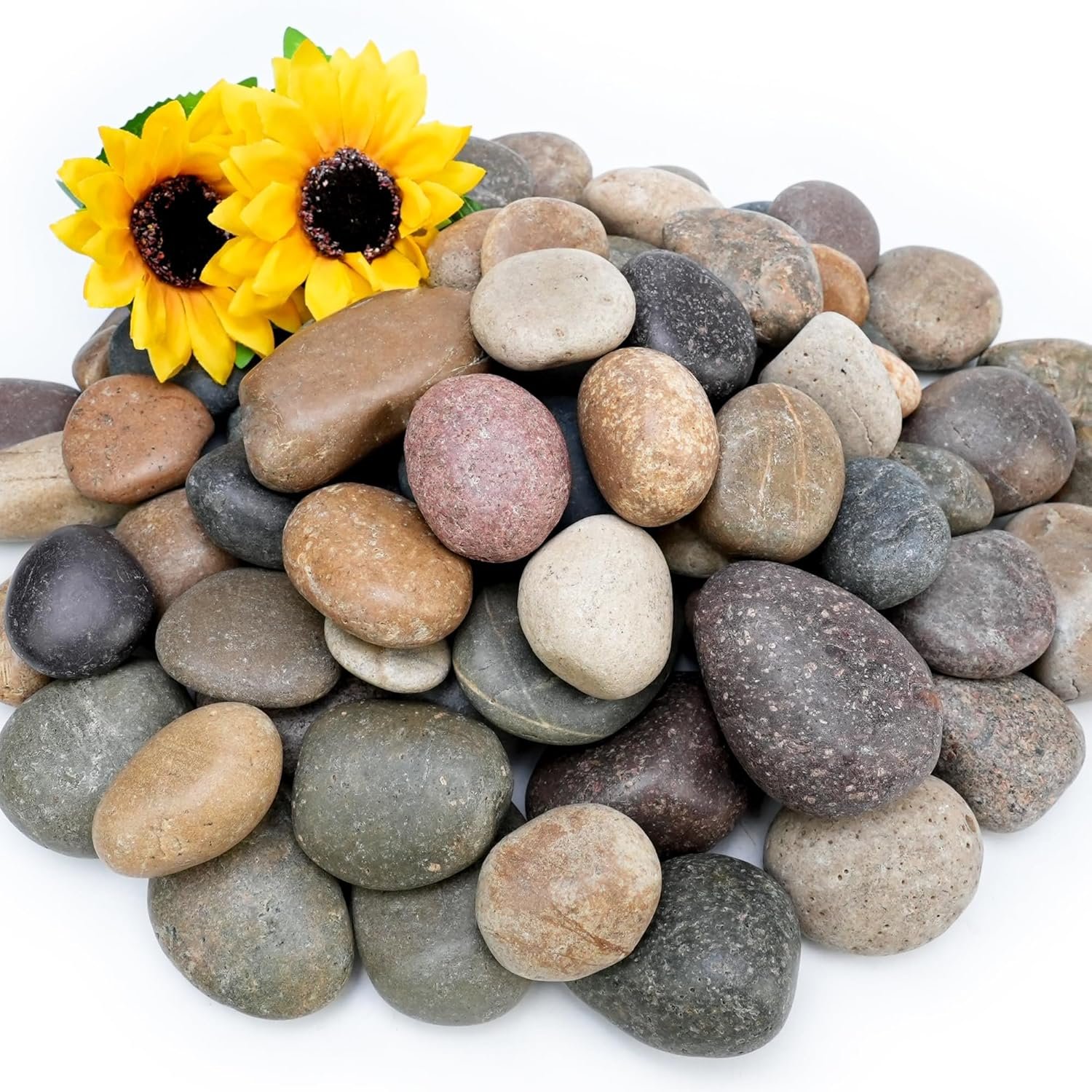 NUPICK 6lb Mexican Beach Pebbles, 2-3″ Large River Rocks for Landscaping, Smooth Garden Rocks for Outdoor Paving, Natural Pebbles for Indoor Plants, Decorative Stones for Planters, Fish Tank, Fountain