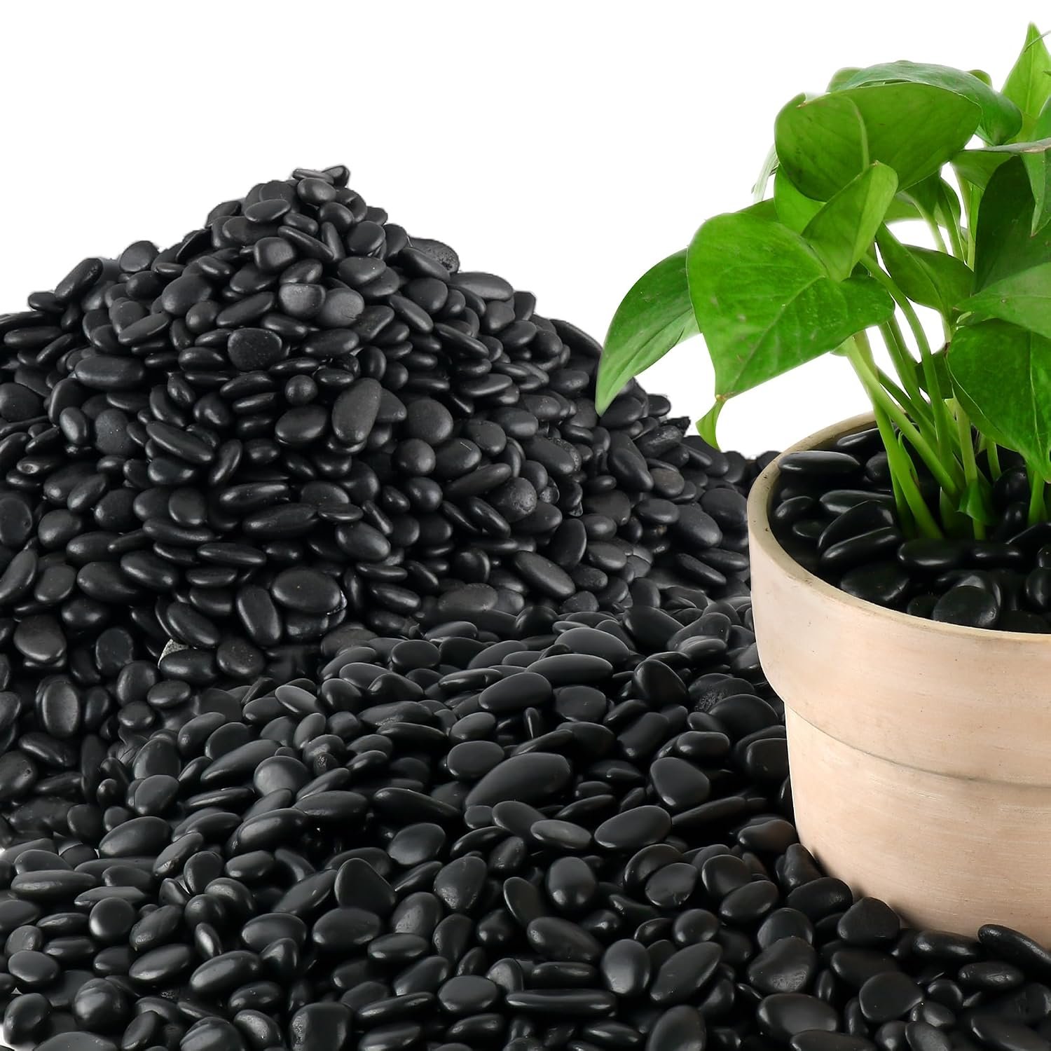 Mulctun 45LB Polished Black Pebbles,1/4″ – 3/4″ Small Black River Rocks for Landscaping, Natural Gravel Smooth Decorative Stones Dressing for Vases Planters Garden Outdoor Indoor