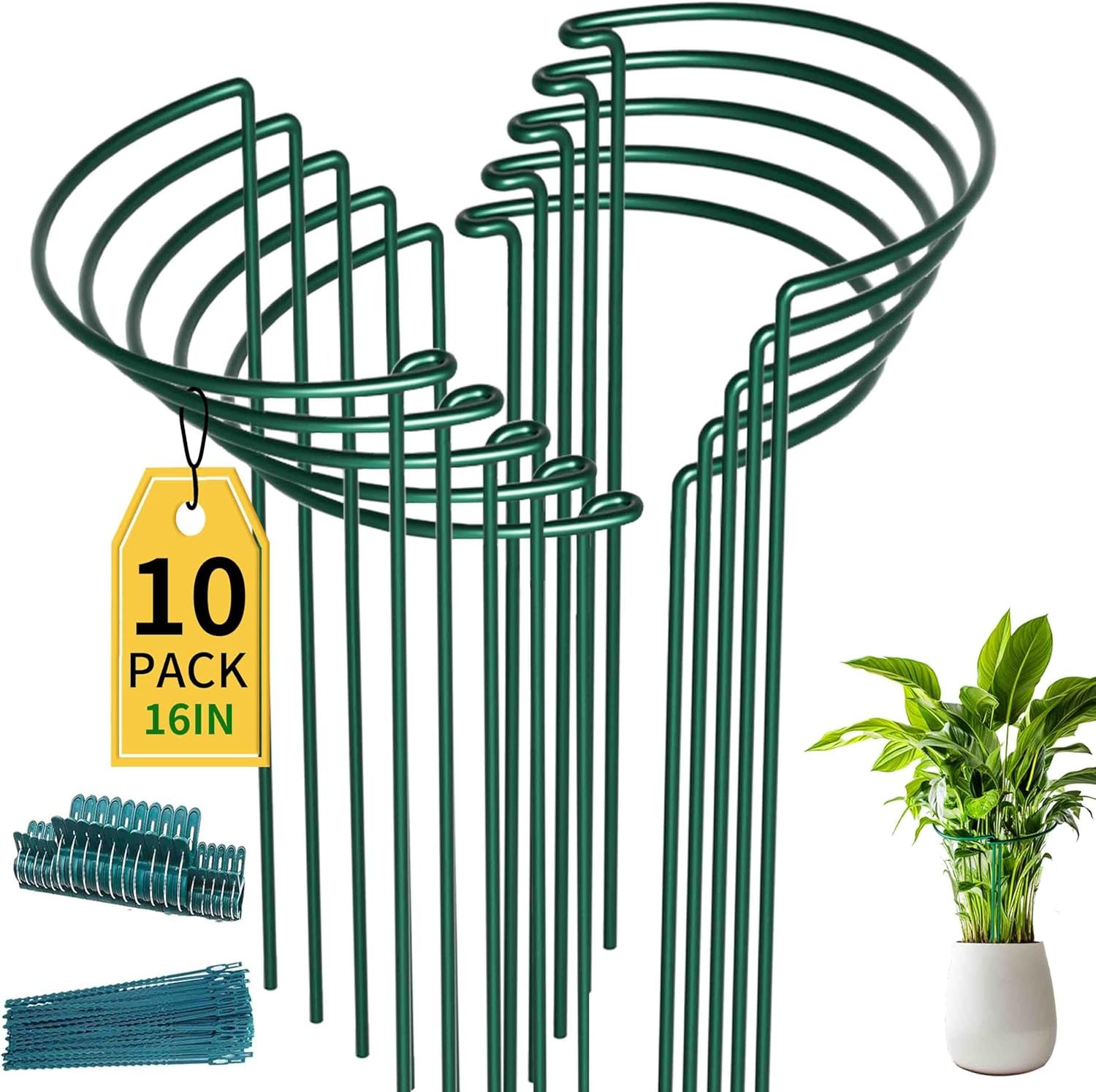 TCBWFY 10 Pack Garden Plant Support Stakes,10″ Widex16 High Heavy Duty Interlinked Half Round Peony Support Ring Cage for Indoor Outdoor Plants,Plant Supports for Peony,Tomato,Hydrangea,Rose