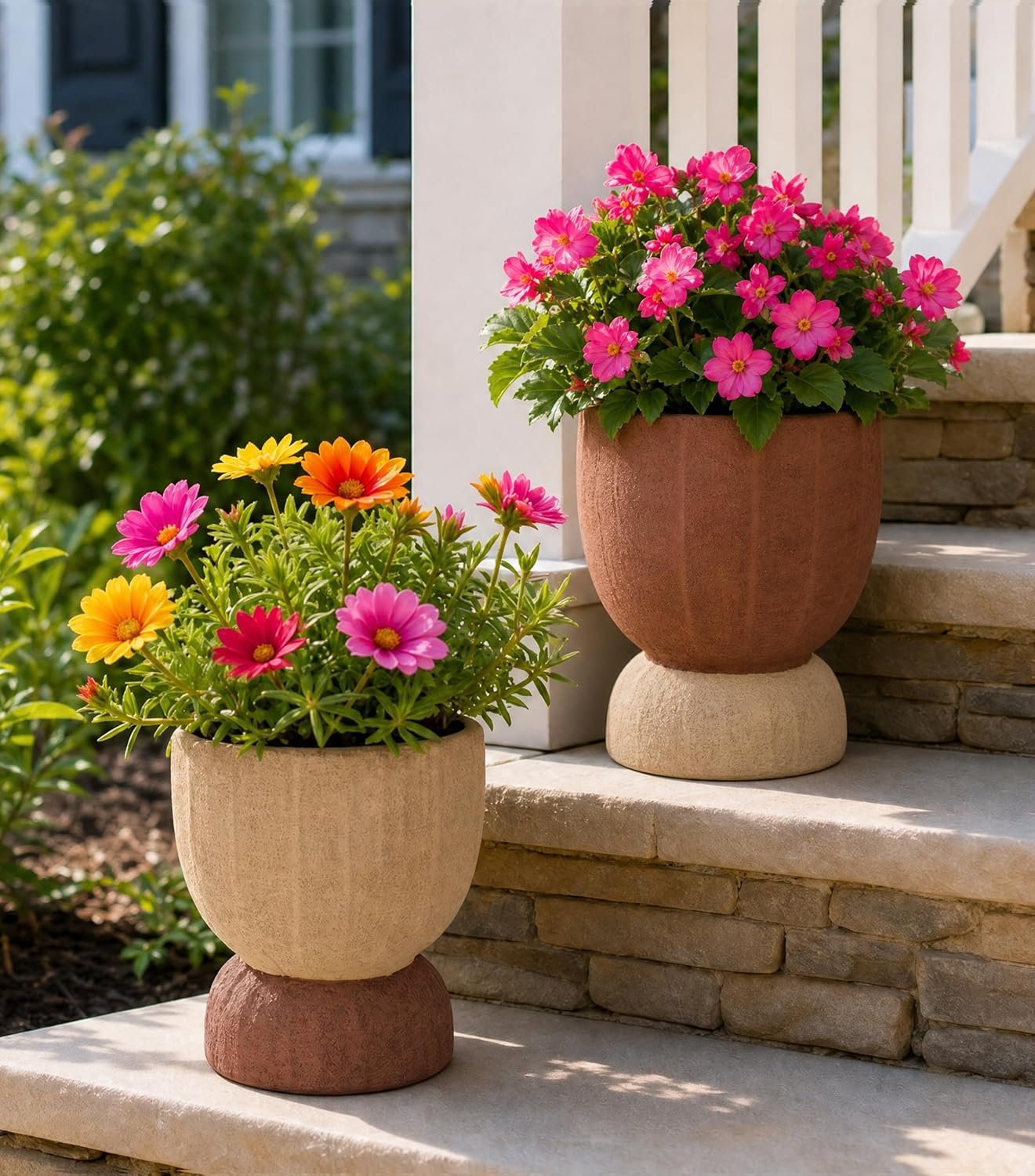 DREAMLOOM 2Pcs Flower Planters with Holes, 6.4Inch Classic Vintage Terracotta & Coarse-Grained Pots for Succulents, Bonsai, Cactus Aloe, Herbs, Orchid