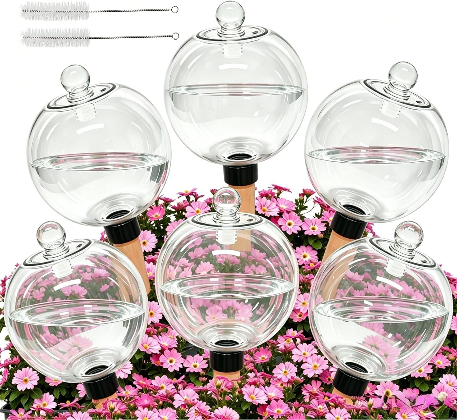 6 Pack 26 oz Extra Large Self Watering Globes with 2 Brushes, Top Fill Plastic Water Bulbs with Slow Release Terracotta Planter Insert, Automatic Plant Water Spikes Stakes for Indoor Outdoor Plants