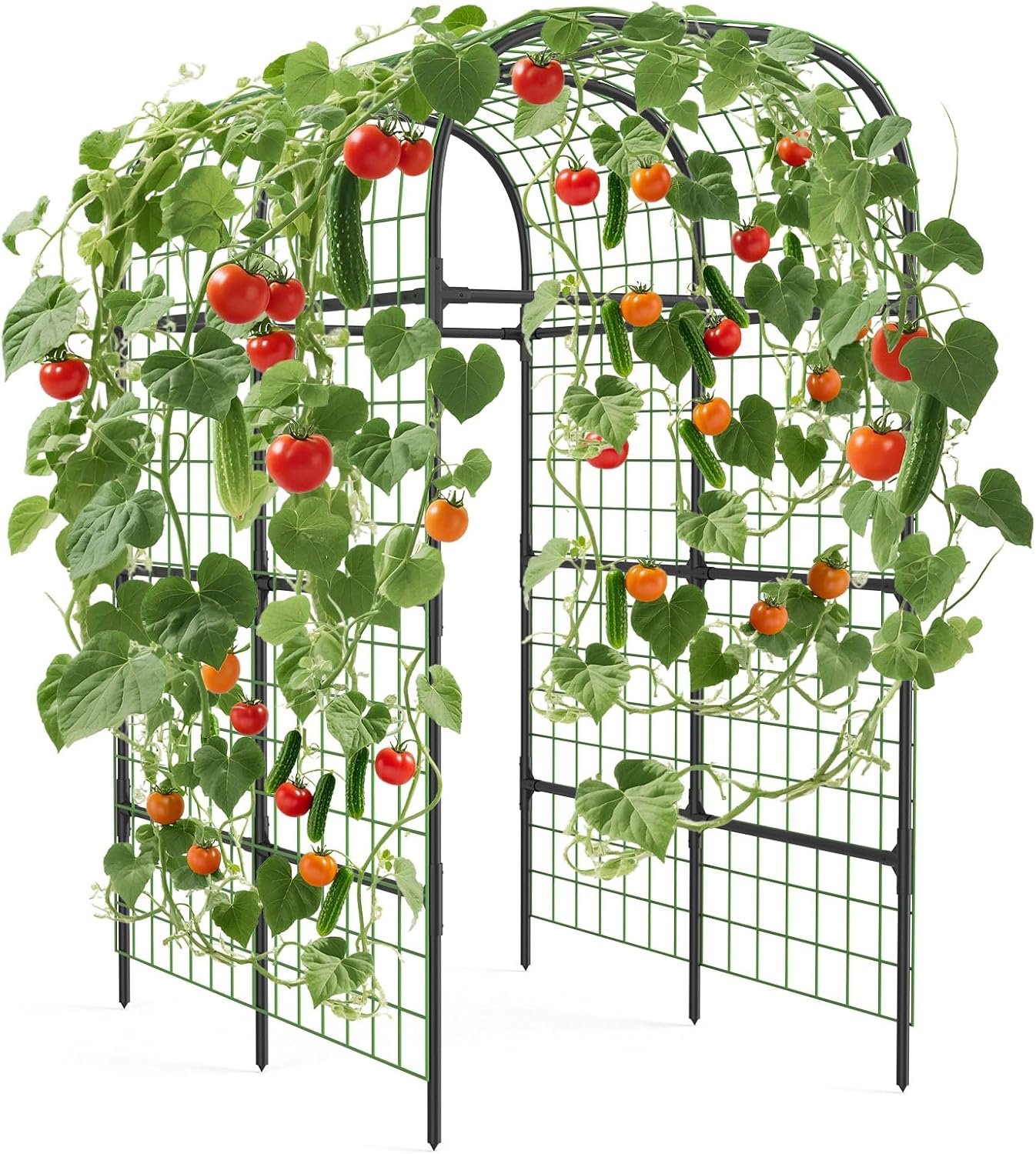 GarveeLife Metal Garden Arch Trellis 7.3 FT, Cucumber & Melon Trellis for Raised Beds, u-Shape Plant Support with Plastic Connectors for Climbing Vegetables, Grapes & Roses, Black