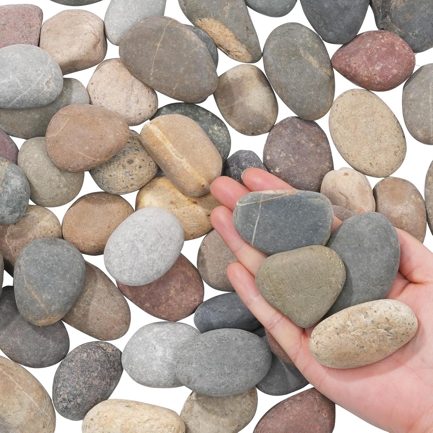 Natural River Rocks-5 lbs of Pebbles and River Stones,2-3 Inch Plant Rocks for Landscaping,Garden Paving,Crafting,Walkways,and Outdoor Decorative Stone,Mexican Beach River Rocks