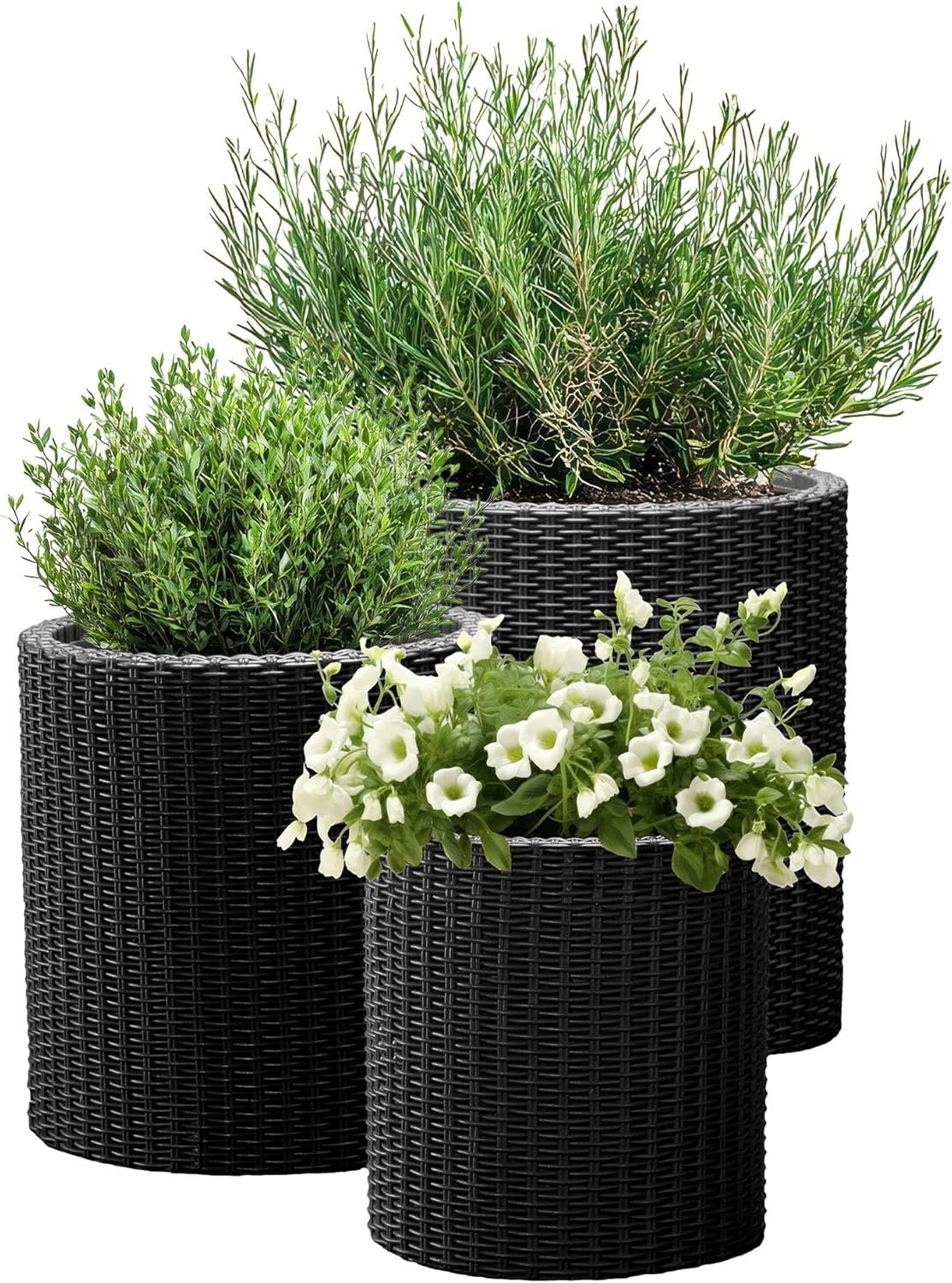 Keter Cylinder Set of 3 Rattan Resin Planter for Indoor and Outdoor Plants Ideal Decorative Planter for Porches and Patio Decor, Black