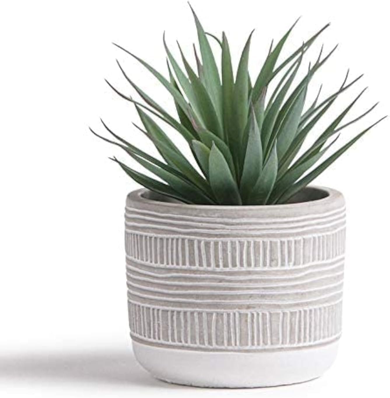 Kurrajong Farmhouse Artificial Plant | 8″ Fake Plant for Desk Decor | Artificial Succulent in Pot | Fake Succulent | Faux Plant Indoor | Artificial Greenery for Shelf Decor