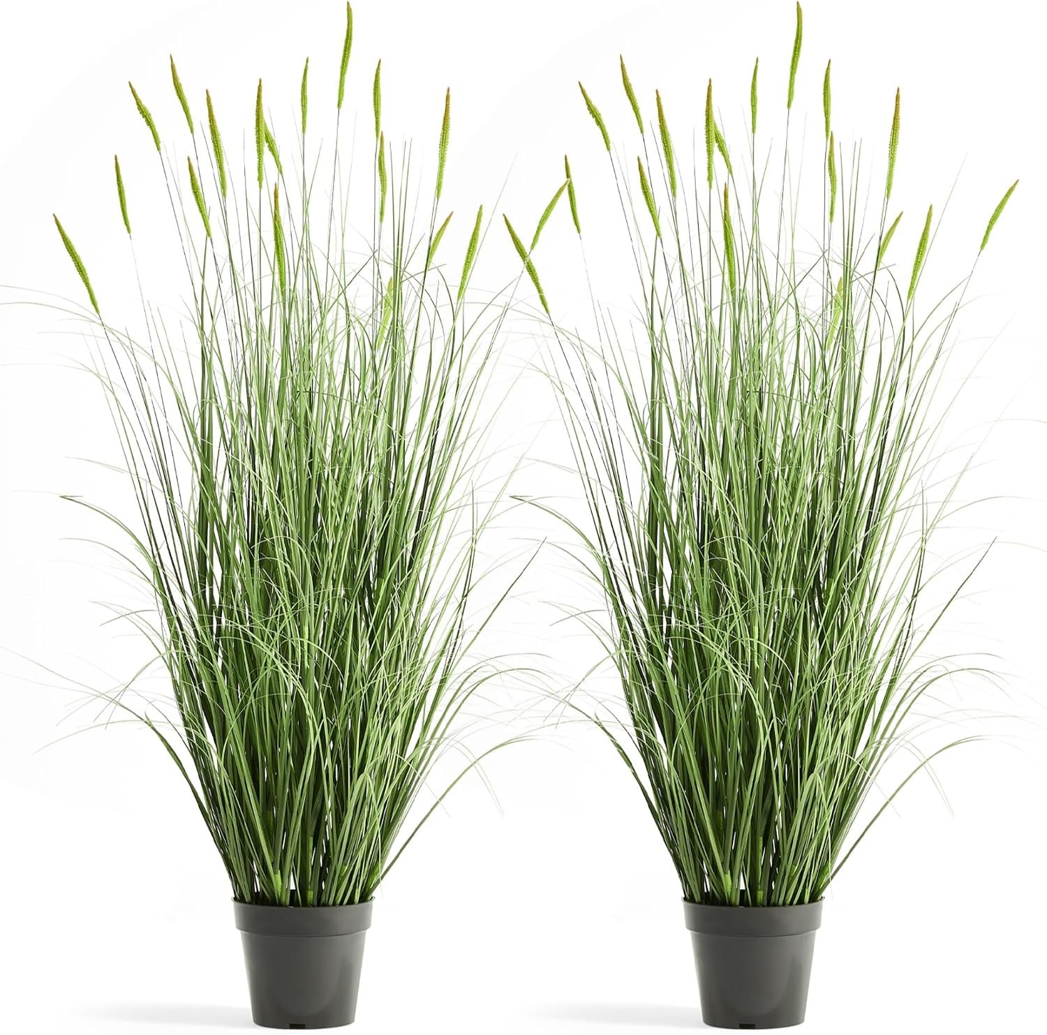 Faux 4ft 2-Pack Horsetail Reed Grass with Green Spikes in Black Pot